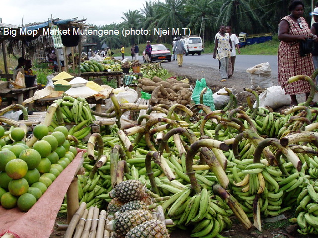'Big Mop' market, Mutengene (photo:Njei M.T)